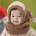 Kids'hats Hat autumn and winter dog one-piece wool hat wool baby shawl collar_viptrois.com