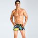 Men's Clothing New Men's Swimming Trunks Fashion Printing Boxer Plus Size Beach Hot Spring Swimming Trunks_viptrois.com