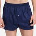 Pulse 19 Mumi Men's Underwear Solid Color Low Waist 100% Mulberry Silk Sports Comfortable Boxer Shorts_viptrois.com
