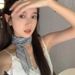 Korean Style Blue Plaid Narrow Long Silk For Women High-end Versatile Neck Scarf Thin 2025 New Model_viptrois.com