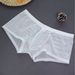 Pulse New Semi-Transparent Sexy Men's Erotic Cross-Border Hot-Selling Boxer Briefs, European Size_viptrois.com