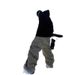 2025 Spring And Autumn Loose Waterproof And Windproof Snowboard Ski Pants Men's And Women's Pants Outdoor Sports Multi-pocket Casual Leggings_viptrois.com