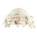 Unisex Men's Tin Lined Pullover Hat Fringe Edge Headscarf Hat Women's Personalized Hair Care Twist Tail Hat_viptrois.com