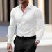 Men's Clothing Spring And Autumn White Shirt Men's Long Sleeved Business Formal Slim Fit Professional Large Size Black Workwear White Suit Shirt_viptrois.com