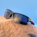Half Frame Sports Sunglasses – One-Piece Lens, Wind & Sand Protection For Motorcycle Riding (Men & Women)_viptrois.com