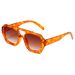Double Beam Retro Sunglasses - Irregular Frame Design With Vintage Personality For Trendsetters_viptrois.com
