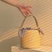 Women's Bucket Bag Bow Plaid Bucket Braid Bag Fashion Single Shoulder Cross-body Braid Handbag For Women_viptrois.com