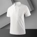 Men's Clothing High Quality New Summer Ice Silk Seamless Polo Shirt Short Sleeve Men's Business Lapel Casual Versatile T Shirt Men_viptrois.com