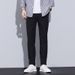 Men's Clothing Summer Thin Youth Straight Business All Match Slim Men's Casual Pants Korean Style Trendy Pants Men_viptrois.com