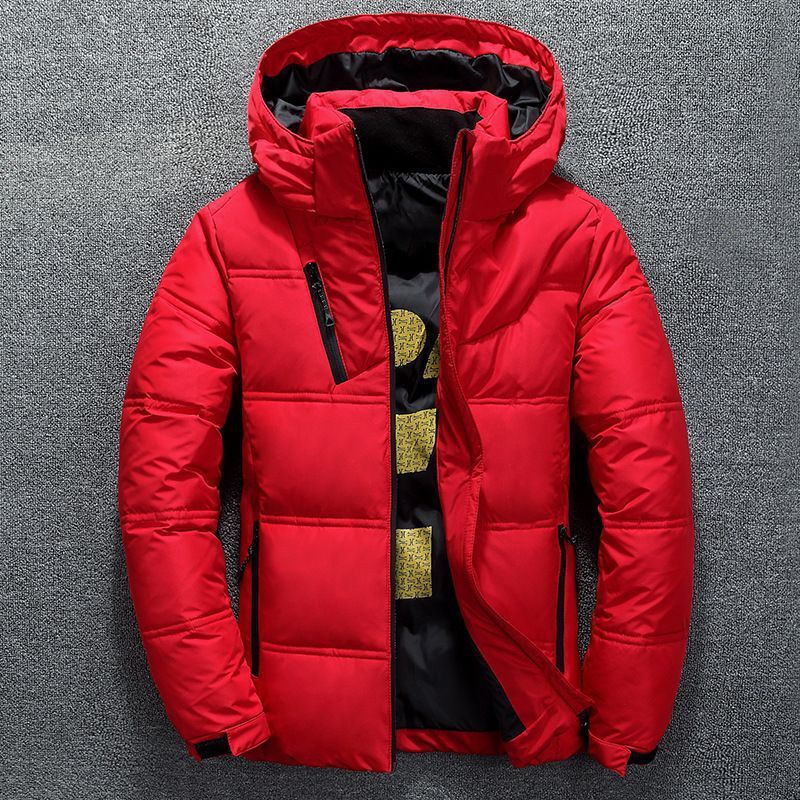 Down Short Style Slim Fit Casual Thick Warm Middle-Aged Hooded Jacket For Men's Wear_viptrois.com
