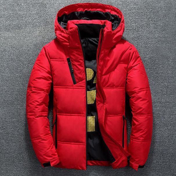 Down Short Style Slim Fit Casual Thick Warm Middle-Aged Hooded Jacket For Men's Wear_viptrois.com