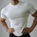 Men's Fitness Apparel Seamless Short-Sleeved Sports T-Shirt Quick Drying Compression Tight Fitting Outdoor Top For Summer Running Training_viptrois.com