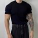 Men's Clothing Fashion High End T Shirt Men's Summer Sweater Breathable Casual Men's Short Sleeved Light Mature Men's T Shirt Top_viptrois.com
