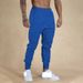 Men's Athletic Jogger Pants - Slim Fit Stretch Workout Trousers For Gym, Running & Casual Wear (Multiple Colors)_viptrois.com