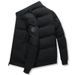 Men's Stand Collar Down Cotton Jacket – Korean Style Winter Coat With Thickened Warm Lining (Black/Grey/Red/Green, M-4XL)_viptrois.com