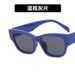 Trendy Ins 2022 New Women UV Protection Personality Street Style Sunglasses Korean Version_viptrois.com