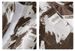 High-quality Long-sleeved Shirt Men's Spring And Autumn New Trendy Brand Handsome Business Temperament Striped Shirt Men's Slim-fit Inch Shirt_viptrois.com