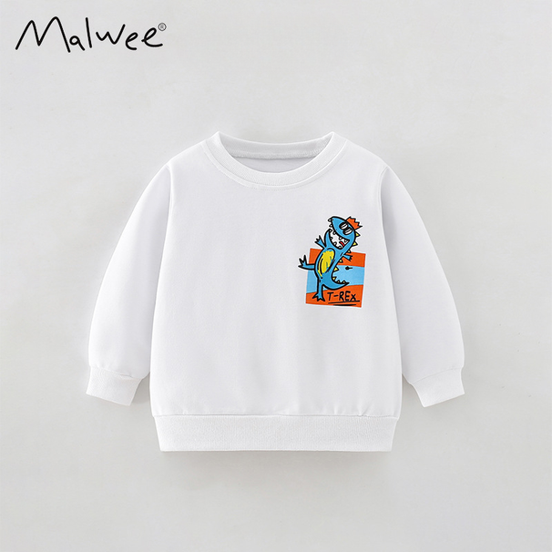 Boys' Pullover Sweatshirt Winter New Round Neck Long Sleeve Toddler Casual Autumn Children's Clothing_viptrois.com
