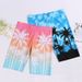 Men's Clothing New Style Swimming Trunks Men's Shorts Swimming Trunks Men's Fashion Plus Size Loose Boxer Beach Hot Spring Swimming Trunks_viptrois.com