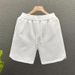 Men's Summer Loose Shorts Trendy American Fashion Leisure Sports Straight Pants Home Comfortable Trendy Ins Bottoms_viptrois.com