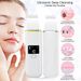 Skin Scrubber Blackhead Peeling Remover Facial Pore Deep Face Cleaner Spatula_viptrois.com