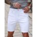 Men's Clothing Men's Solid Color Casual Shorts Quick Drying Summer Business Sports Five Point Pants Thin Candy Color Men's Clothing_viptrois.com