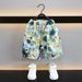 Mother & Kids Boys Short Sleeved Suit Summer New Children's Thin Cool Beach Suit_viptrois.com