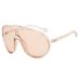 Toad Big Frame Integrated Outdoor Windproof Sunglasses Street Shooting_viptrois.com