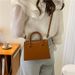 Women's Bags Mini Bag New Small Bag For Women Popular New Style Fashion Messenger Bag Celebrity Fashion Texture Shoulder Handbag_viptrois.com