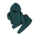 kids'clothing Children's autumn and winter warm thick set Boys hoodie set Girls solid color long sleeve casual two-piece set_viptrois.com