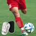 Football Shin Guards Leg Guards Shin Guard Training Solid Knee Pads Anti Collision Insert Shin Guards_viptrois.com