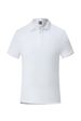 2025d 220g Men's T-shirt Island Cotton Unisex Corporate Turn-down Collar Polo Shirt_viptrois.com