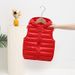 Kids' Quilted Puffer Vest – Lightweight Hooded Outerwear With Easy-Clean Coating (1-5 Years, 80-120cm, Unisex, Cartoon Prints)_viptrois.com