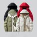Men's Fleece-Lined Hooded Puffer Jacket - Korean Style Winter Coat With Stand Collar, Windproof Casual Outerwear (Black/ Cream/ Red/ Olive Green)_viptrois.com