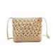 Women's Handle Bags Crossbody Straw Bag, Hollowed-out Flower Straw Bag, Woven Bag, Vacation Beach Bag, Loose Change Mobile Phone Bag_viptrois.com