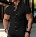 Men's Clothing New Summer European And American Men's Shirt Blue Teenager Home Solid Color Short Sleeved Lapel Shirt Cotton And Linen Top_viptrois.com