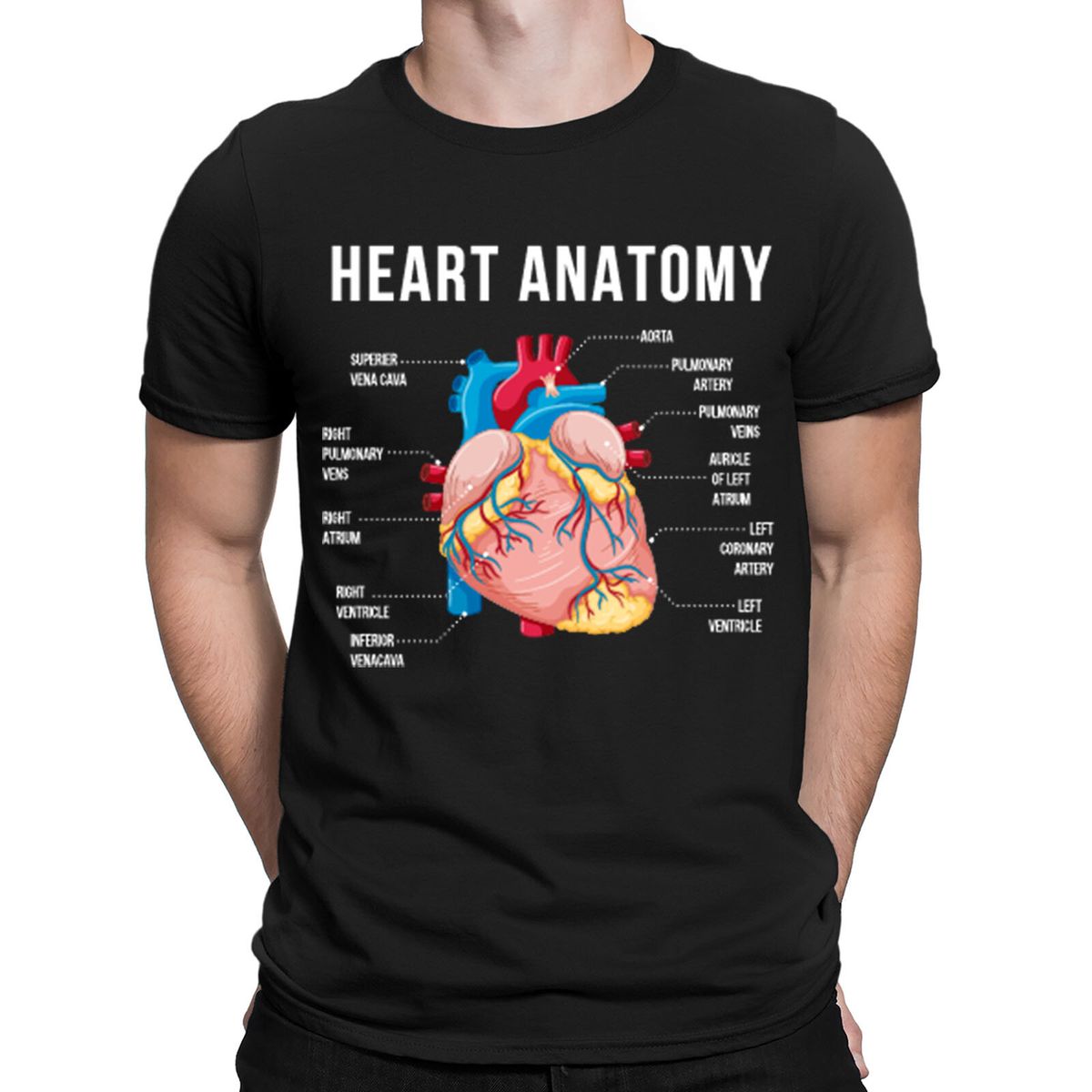 Heart Anatomy Nurse Cardiac Cardiology Sonographer Gift Mens Womens T-Shirt Mens Womens Tees Tops#NED_viptrois.com