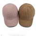 Women's Hat Autumn Winter Knitted Wool Baseball Korean Fashion Trendy Face Slimming Versatile Warm Duckbill Cap_viptrois.com