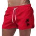 Men's Clothing Beach Shorts Men Large Pants Outerwear Men's Large Shorts Men's Beach Shorts Beach Shorts_viptrois.com