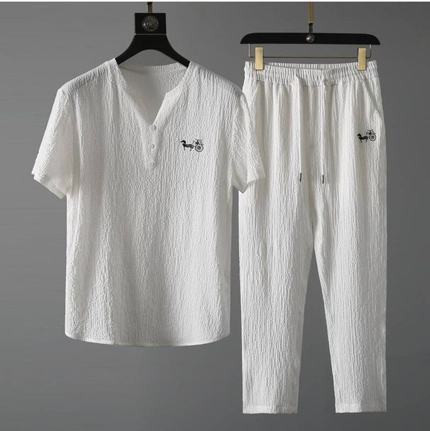 Men's Clothing new thin casual sports suit men's summer Chinese style high-end V-neck embroidery slim short-sleeved two-piece suit_viptrois.com