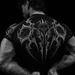Breathedivinity Venom Magic Crystal Men's And Women's Fitness Clothing Quick-Dry Short-Sleeve Sports Casual Compression 008_viptrois.com