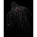 Men's Clothing High Street Gothic Harajuku Dark Cardigan Sweater Jacket Men's And Women's Punk Top Sweater 2025 New Tops_viptrois.com
