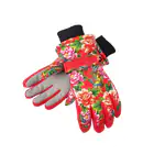 Ski Gloves_viptrois