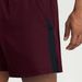 Men's Clothing Breathable Sports Fitness Men's Quick-Dry Breathable Sports Shorts With Color Blocking For Gym, Running, Hiking & Casual Wear_viptrois.com