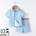 Mother & Kids Children's Clothing Children's Suits Boys' New Short Sleeved Front Button Shirt Elastic Shorts Two Piece Suit Cross Border Supply_viptrois.com