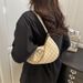 Women's Small Bag Underarm Bag Popular Bag Female Trend Shoulder Bag Handbag Handbag_viptrois.com