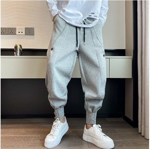 Men's Clothing Four Seasons Thickened Regular Sports Pants Men's Handsome Trendy Design Harem Pants Plus Velvet Casual Cuffed Sweatpants_viptrois.com