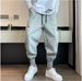 Men's Clothing Four Seasons Thickened Regular Sports Pants Men's Handsome Trendy Design Harem Pants Plus Velvet Casual Cuffed Sweatpants_viptrois.com