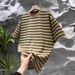 Men's Clothing Men's Summer Casual Striped T-Shirt Minimalist Distressed Short Sleeve Round Neck High Street Style Versatile Fashionable Top_viptrois.com