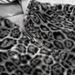 Men's Clothing Hooded Sweatshirts Retro Leopard Print Zipper Hoodie Loose Personality Tops_viptrois.com